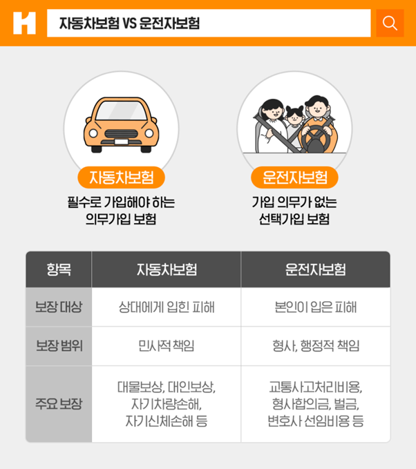  복잡한 운전자보험 개정? 12월 핵심만 '비포&애프터'로 정리!