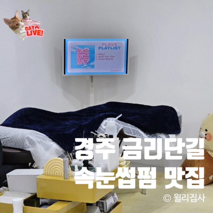  경주 속눈썹펌 추천 금리단길 스테이스튜디오 현지인 뷰티샵