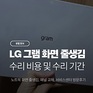 LG 그램 노트북 화면 줄생김 엘지 AS 서비스센터 패널 교체 수리 비용 기간 후기