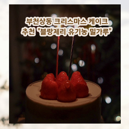 모야그집 사진 1
