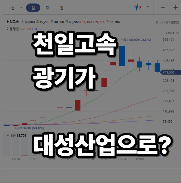  대성산업 천일고속 동양고속의 광기의 불길이 옮겨붙었나?