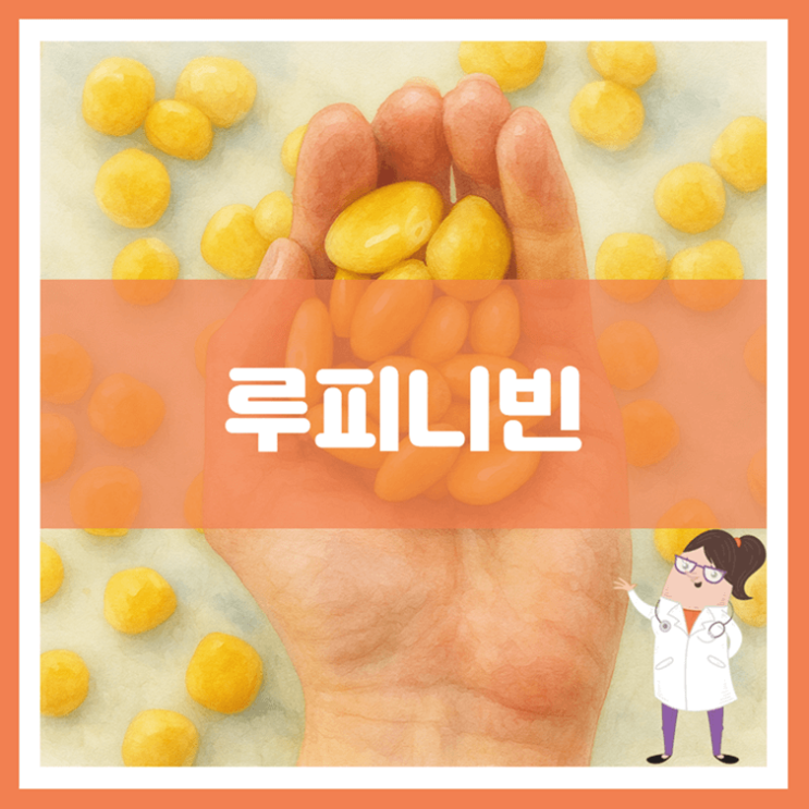  루피니빈 효능 영양성분 부작용