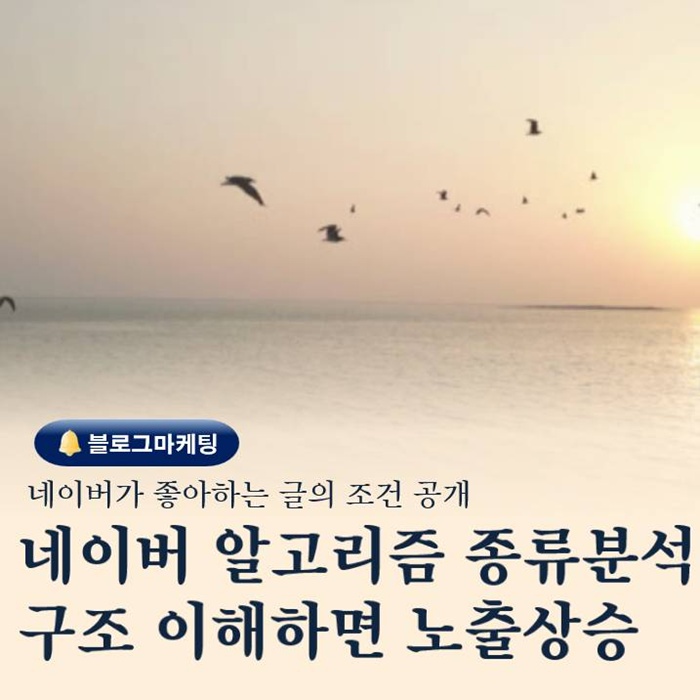  네이버 알고리즘 기술 분석 블로그 상위 노출 전략의 핵심 공개