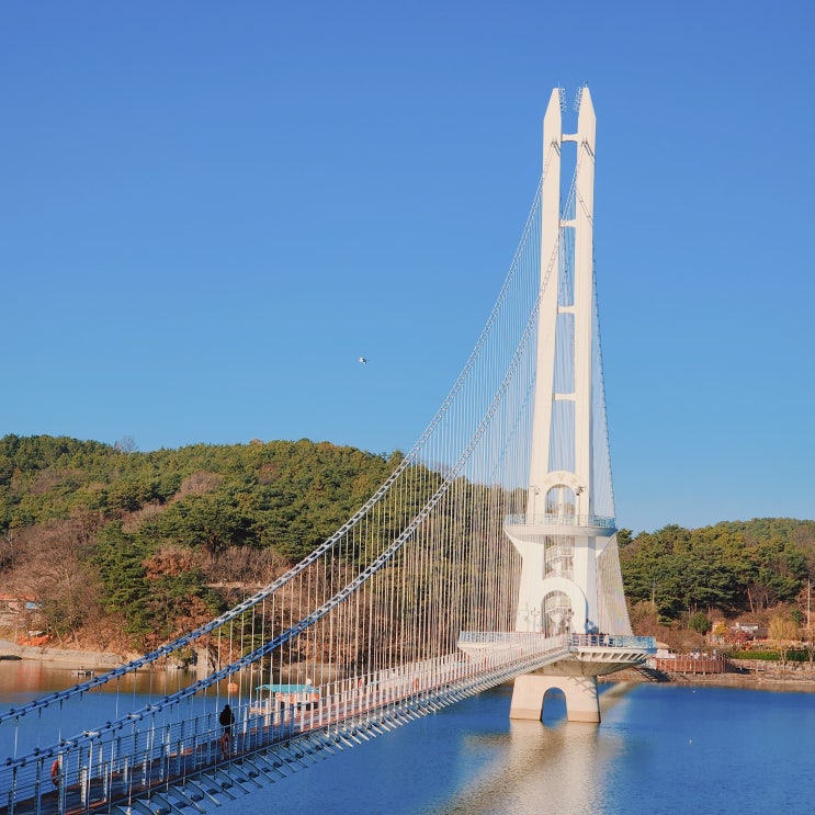 예당관광지 예당호 출렁다리 충남 여행지 예산 가볼만한 곳