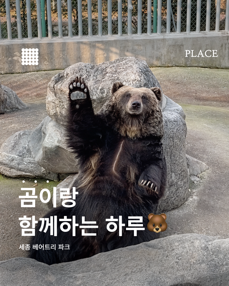  세종 베어트리파크 후기 곰 먹이주기부터 수목원까지 알찬 나들이!