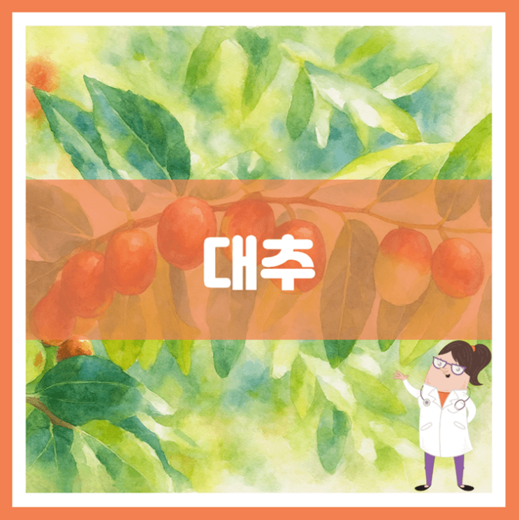  대추 효능 부작용 보관방법