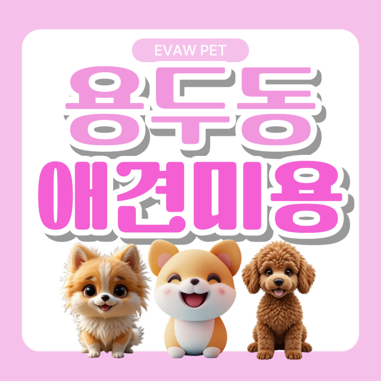  용두동애견미용학원ㅣ알로페시아 피부병 관리부터 반려견 케어, 자격증 취득까지 완벽 가이드