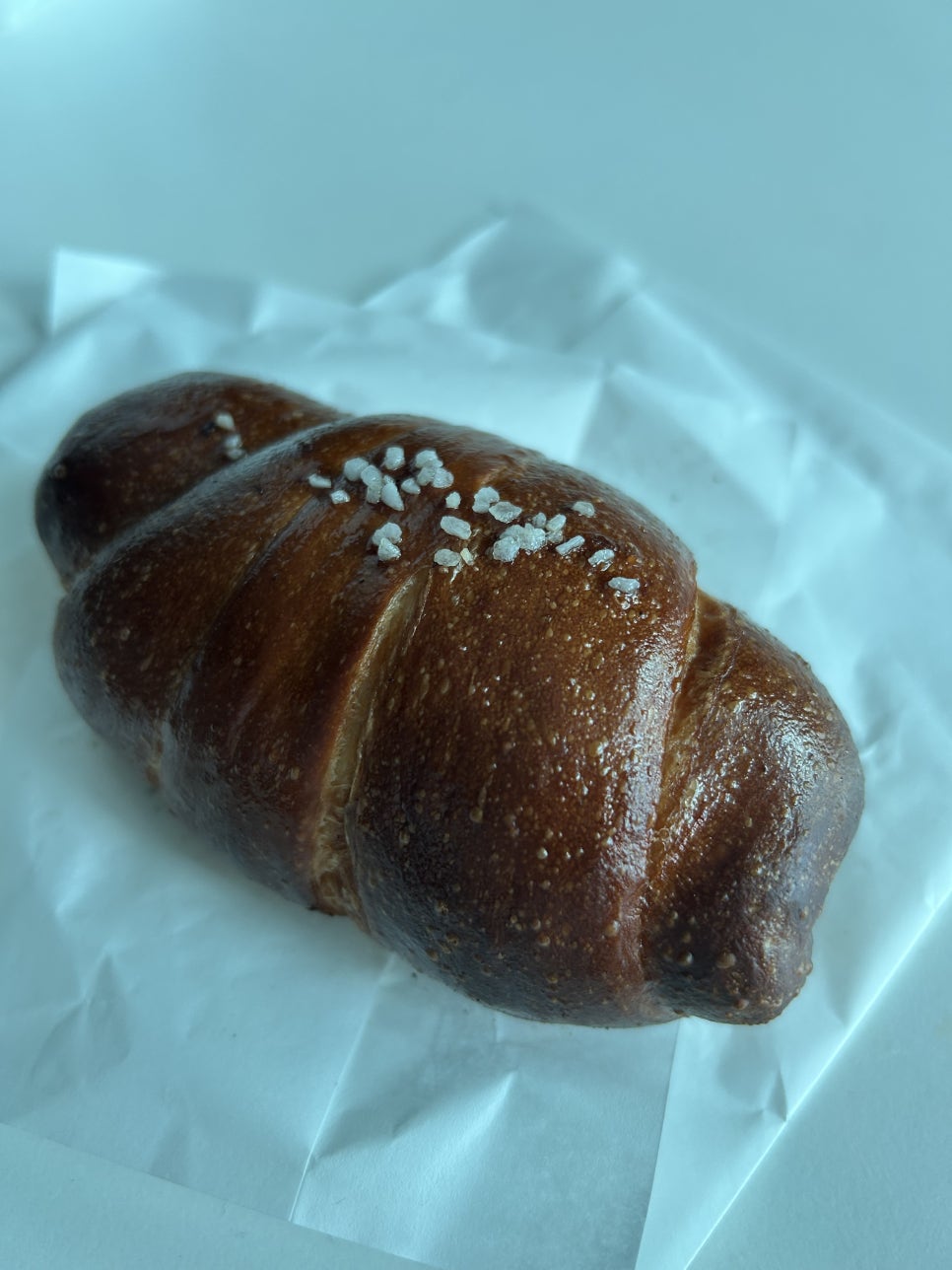 네드젬 사진 1