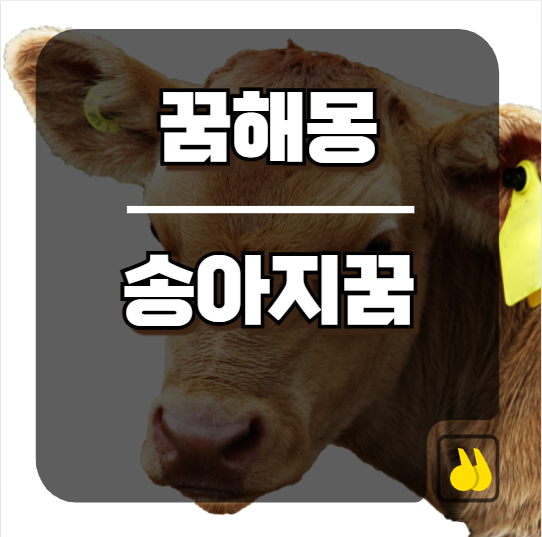 송아지꿈 해몽 정리해봤는데 진짜 재밌더라구요