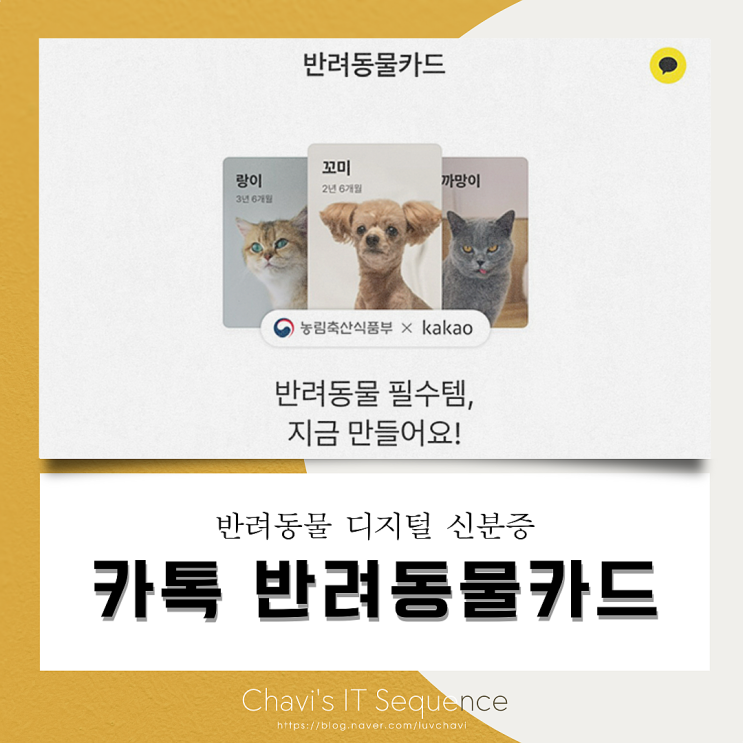 카카오톡 지갑에서 반려동물카드 발급받는 방법