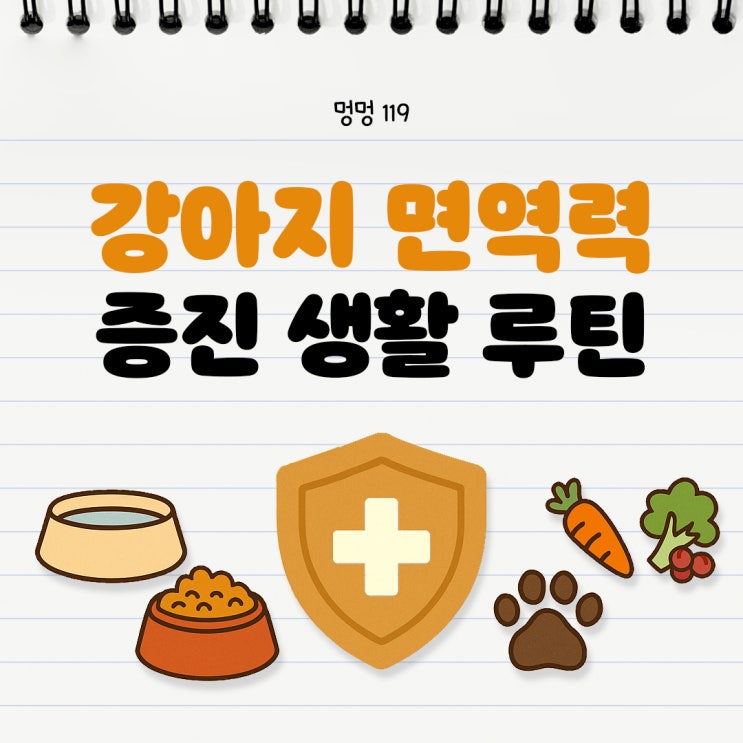  강아지 면역력의 중요성과 면역력을 높이는 음식 알아보기