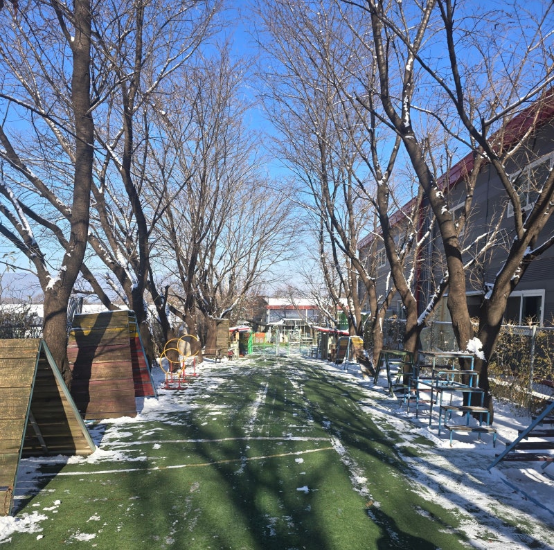 사진 4