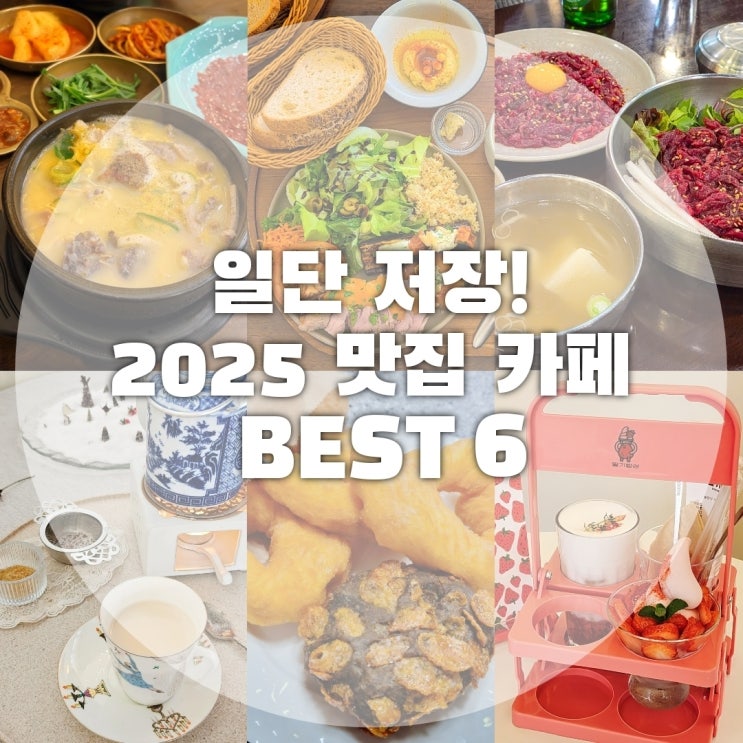  2025 연말결산, 맛집 끝판왕만 모았다! 또 또 또갈집 TOP 6