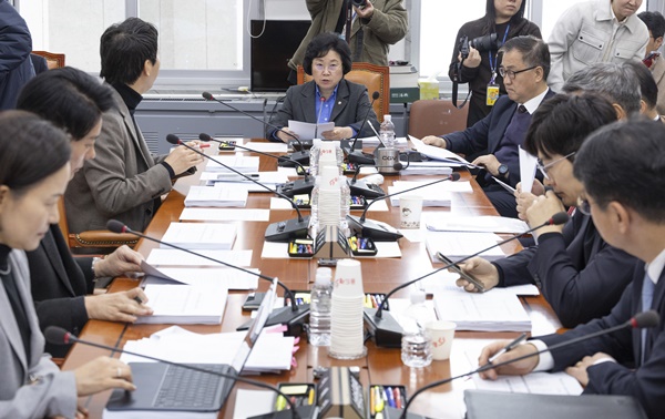 여당 주도, <b>허위조작정보 근절법</b> 통과