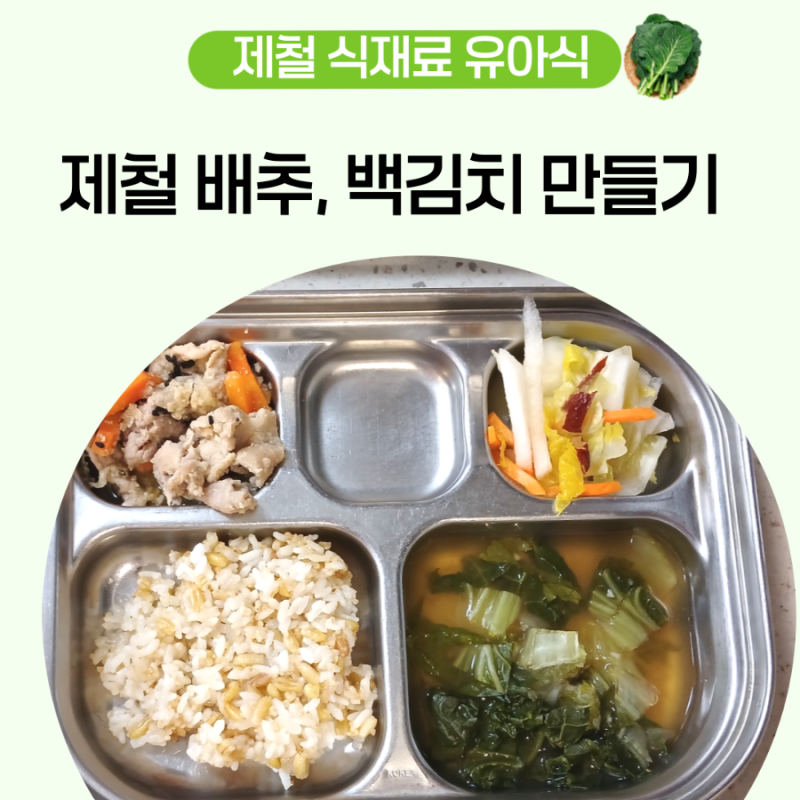 4세 유아식 반찬 아기 김치 만들기 배추김치 백김치 레시피