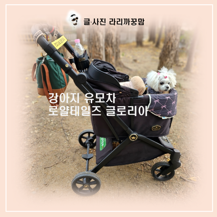  [역대급] 대형견 유모차 집사들 소리 질러! 로얄테일즈 맥스, 드디어 온라인 예약 오픈!