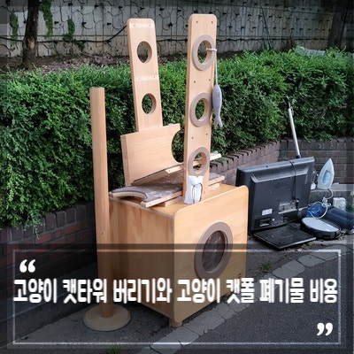 고양이 캣타워 버리기와 고양이 캣폴 폐기물 비용, 지역별 확인 방법은?