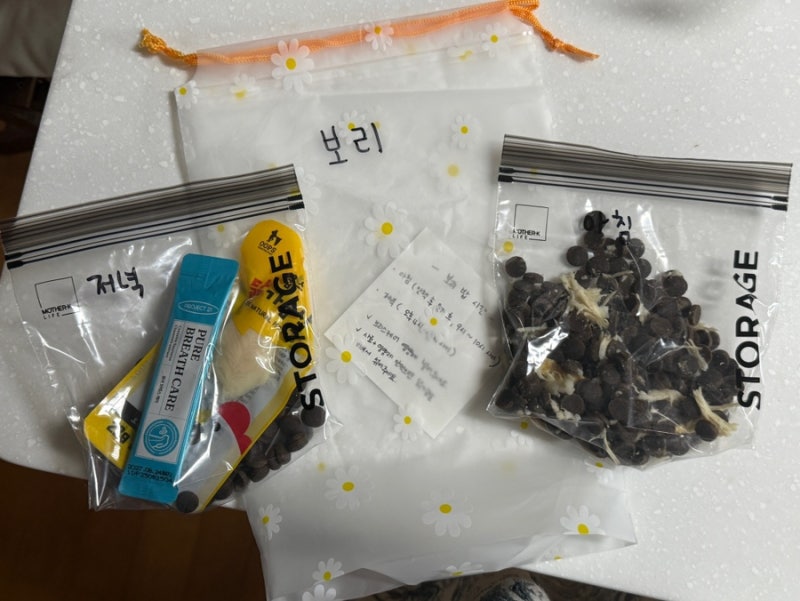 사진 5