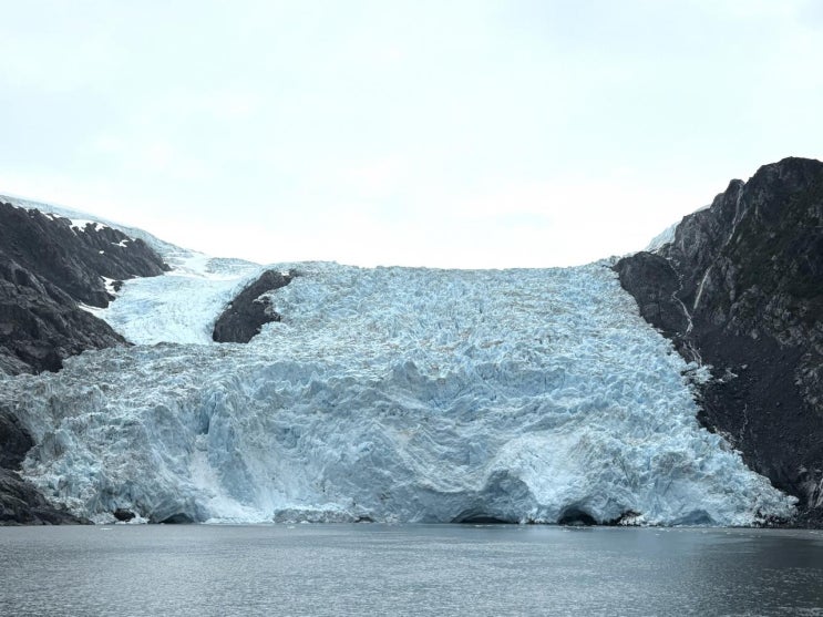  알래스카 빙하 투어 GLACIER QUEST CRUISE