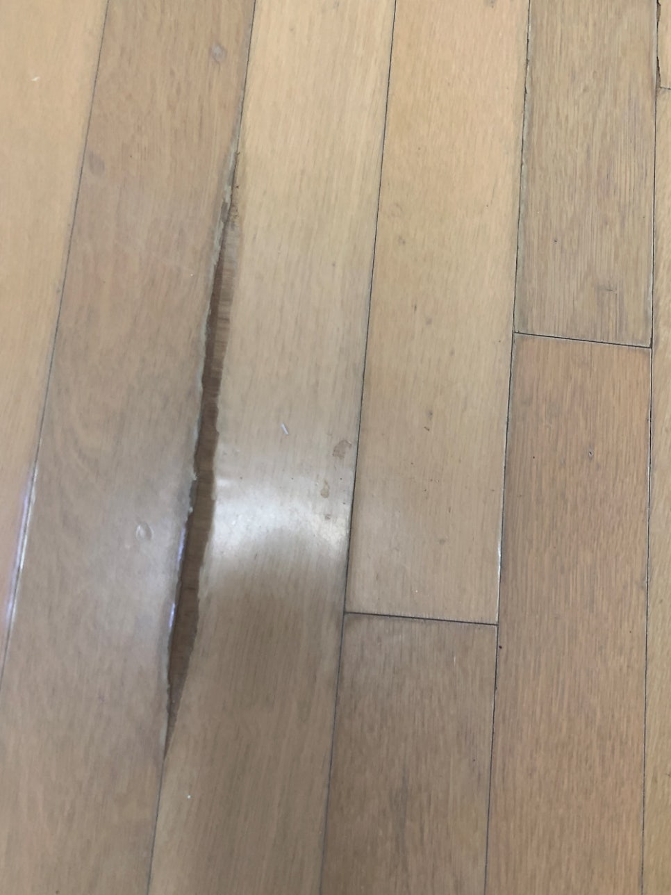 마루바닥 찍힘 보수 서초구 아파트