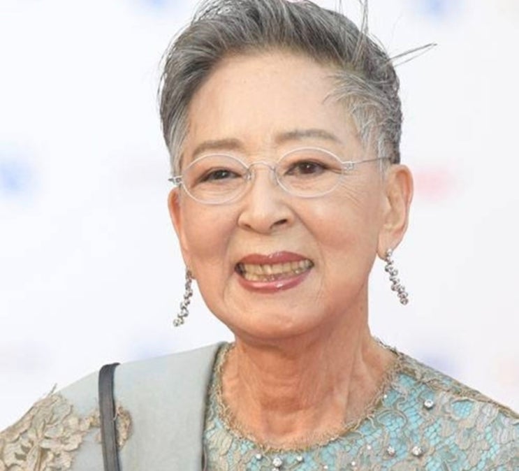 원로배우 <b>김지미 별세</b> 향년 85세 지병 사인 프로필