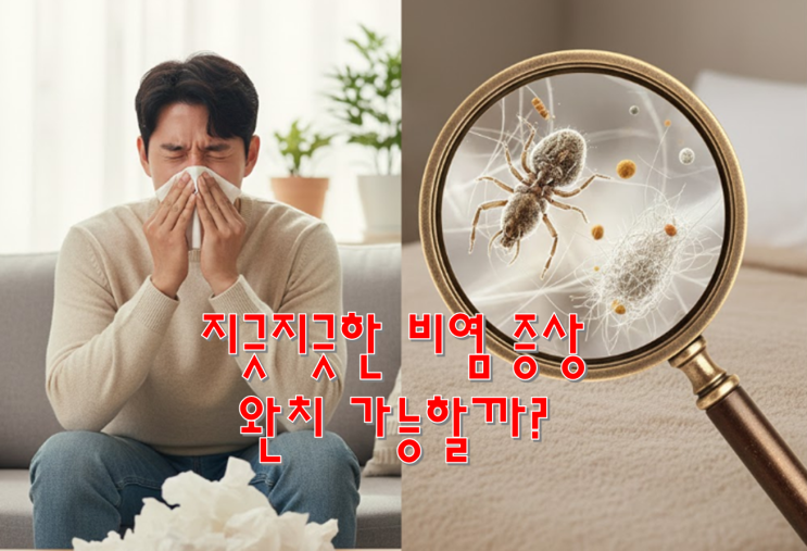  지긋지긋한 코막힘 재채기 알레르기성 비염 증상 치료 완치 가능하냐구?