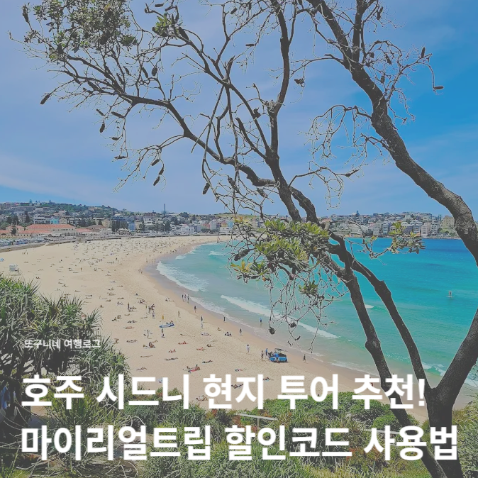  마이리얼트립 12월 할인코드 입력 사용법 + 호주 시드니 현지 투어 추천, 할인 예약 꿀팁!