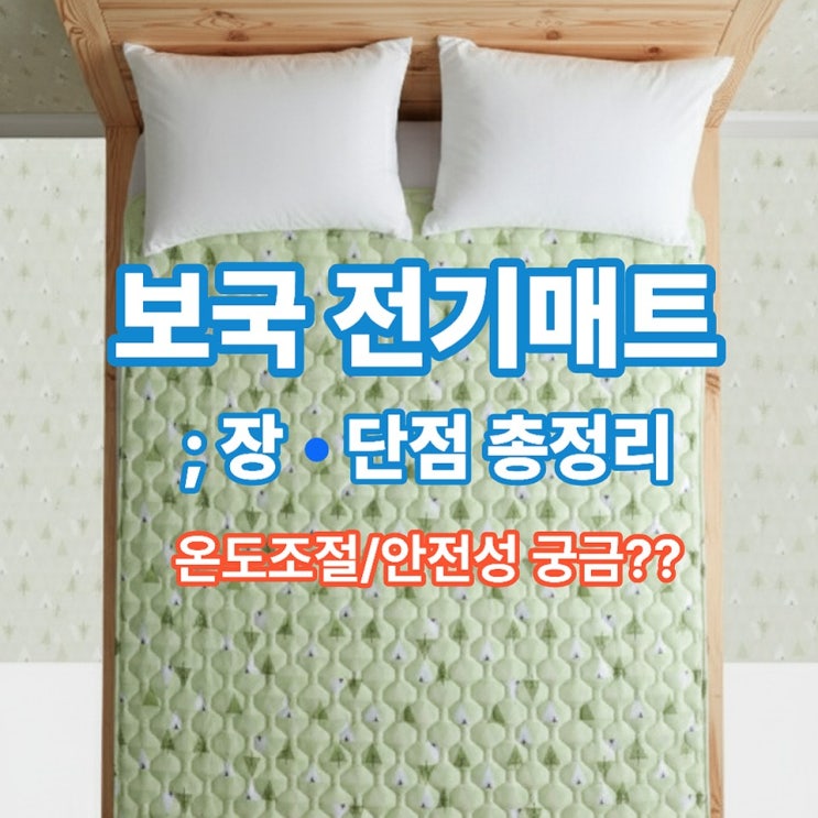  보국 전기매트 장단점, 구매 전 꼭 알아야 할 포인트