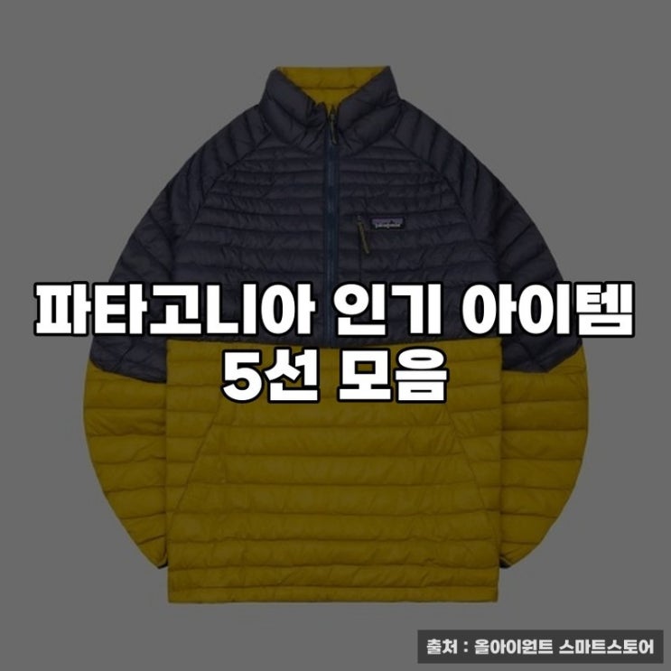  파타고니아 인기 아이템 5선 모음