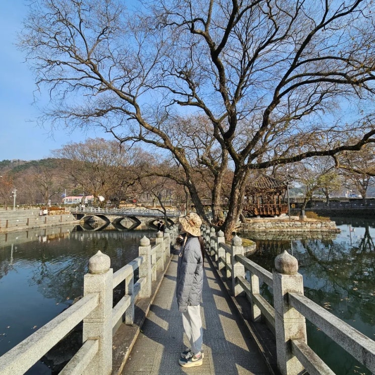  함안 가볼만한곳 무진정