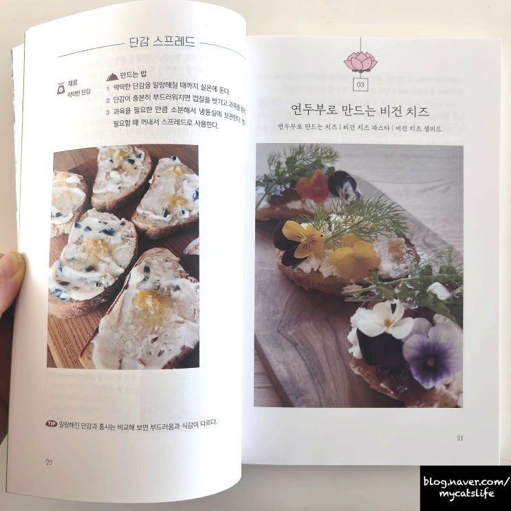 채식 레시피 책_경봉 스님의 무해한 식탁_채식주의자 음식 추천