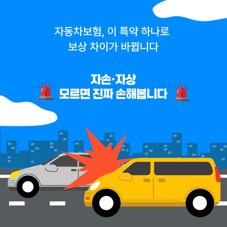 자동차보험 자손·자상 보험료만 볼 게 아니라 보장 차이부터 확인해야 하는 이유