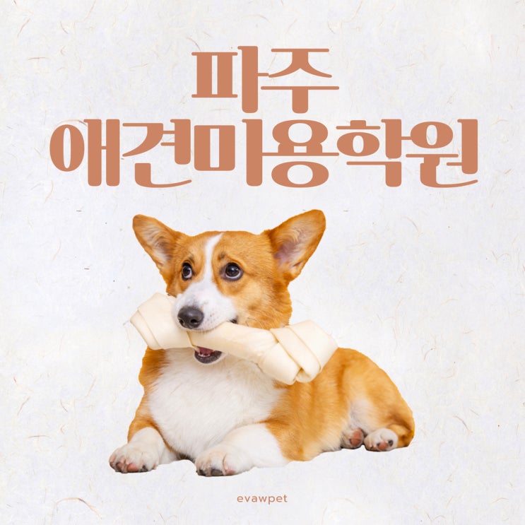  파주애견미용학원 월 수강료 20만원으로 자격증 취득 가능한 곳