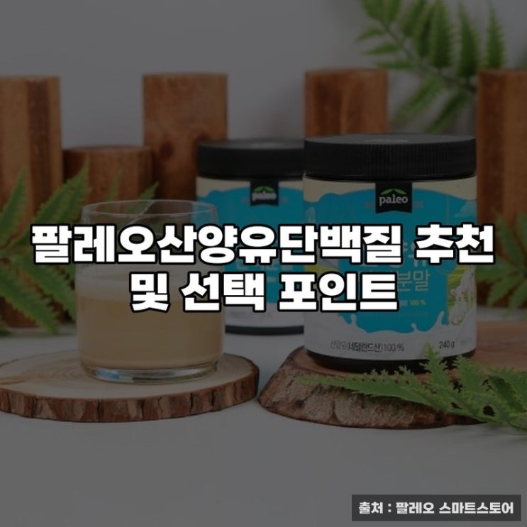  팔레오산양유단백질 추천 및 선택 포인트