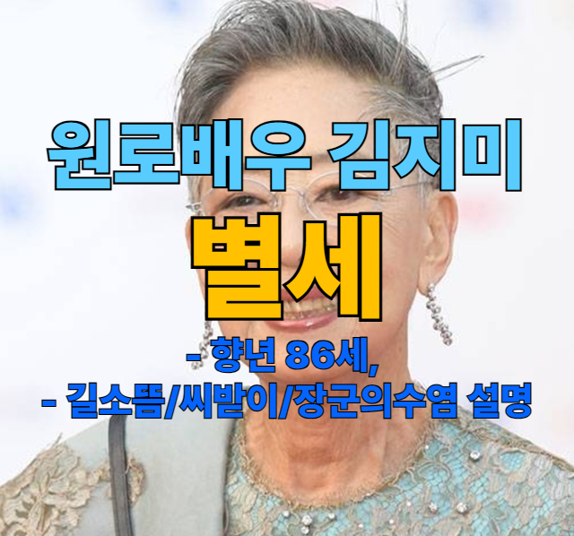 [속보] 원로배우 <b>김지미</b> 별세  향년 86, 대표작 : 길소뜸, 씨받이... 
