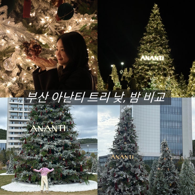  부산 아난티 트리 낮 밤 모습 겨울 기장 가볼만한곳 추천