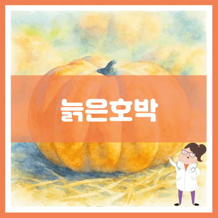  늙은호박 효능 영양성분 부작용