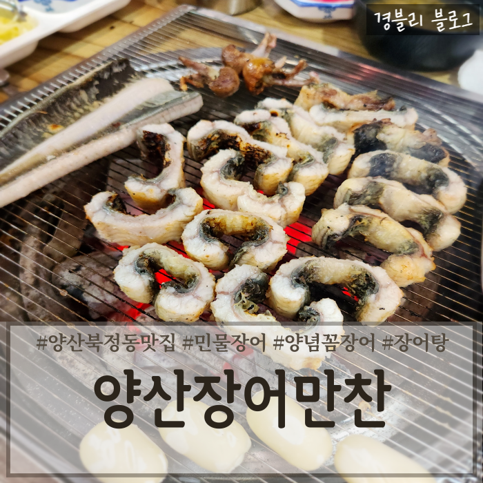  양산북정동맛집 양산장어구이 꼼장어맛집 북정보양식추천 '양산장어만찬'