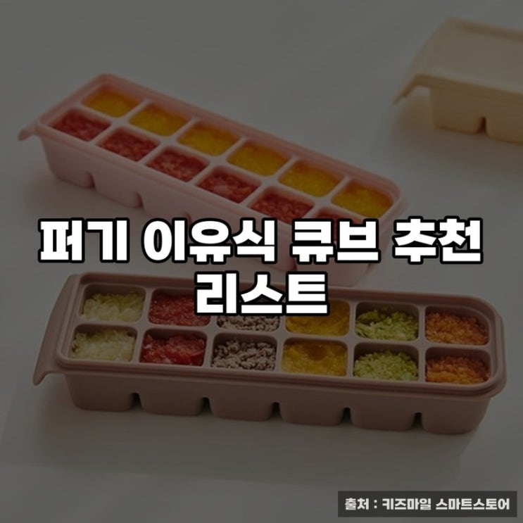  퍼기 이유식 큐브 추천 리스트