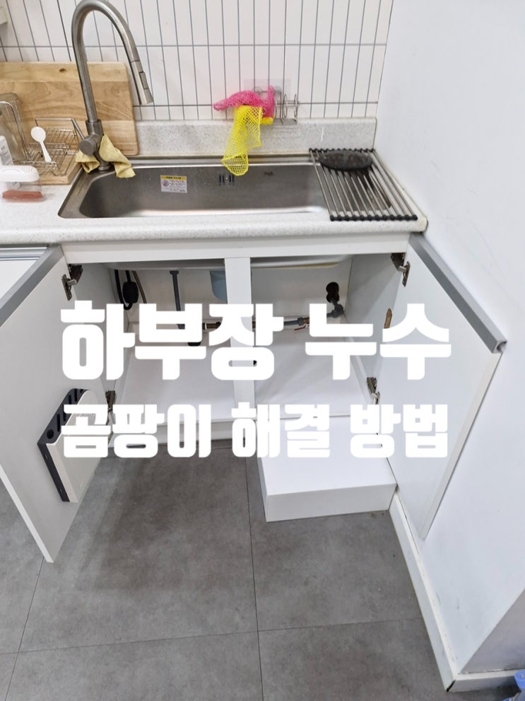  물먹은 싱크대 밑판 교체 하부장 누수 곰팡이 해결 방법