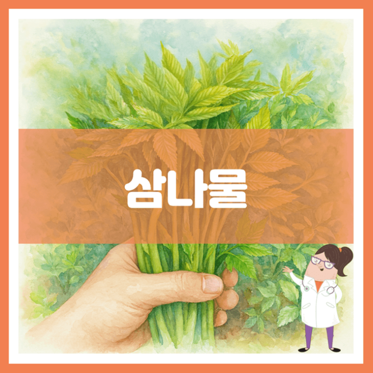  삼나물 효능 부작용 보관방법