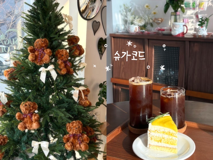  원주카페 추천 슈가코드 | 글루텐프리 쌀케이크 원주케이크맛집
