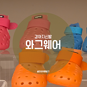 강아지겨울신발 와그웨어 Wagwear 더현대서울 위펫 와그웰리스 애견부츠 사이즈교환 6kg 소형....