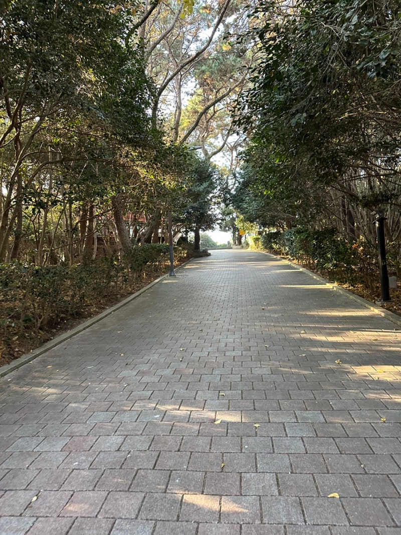 사진 5