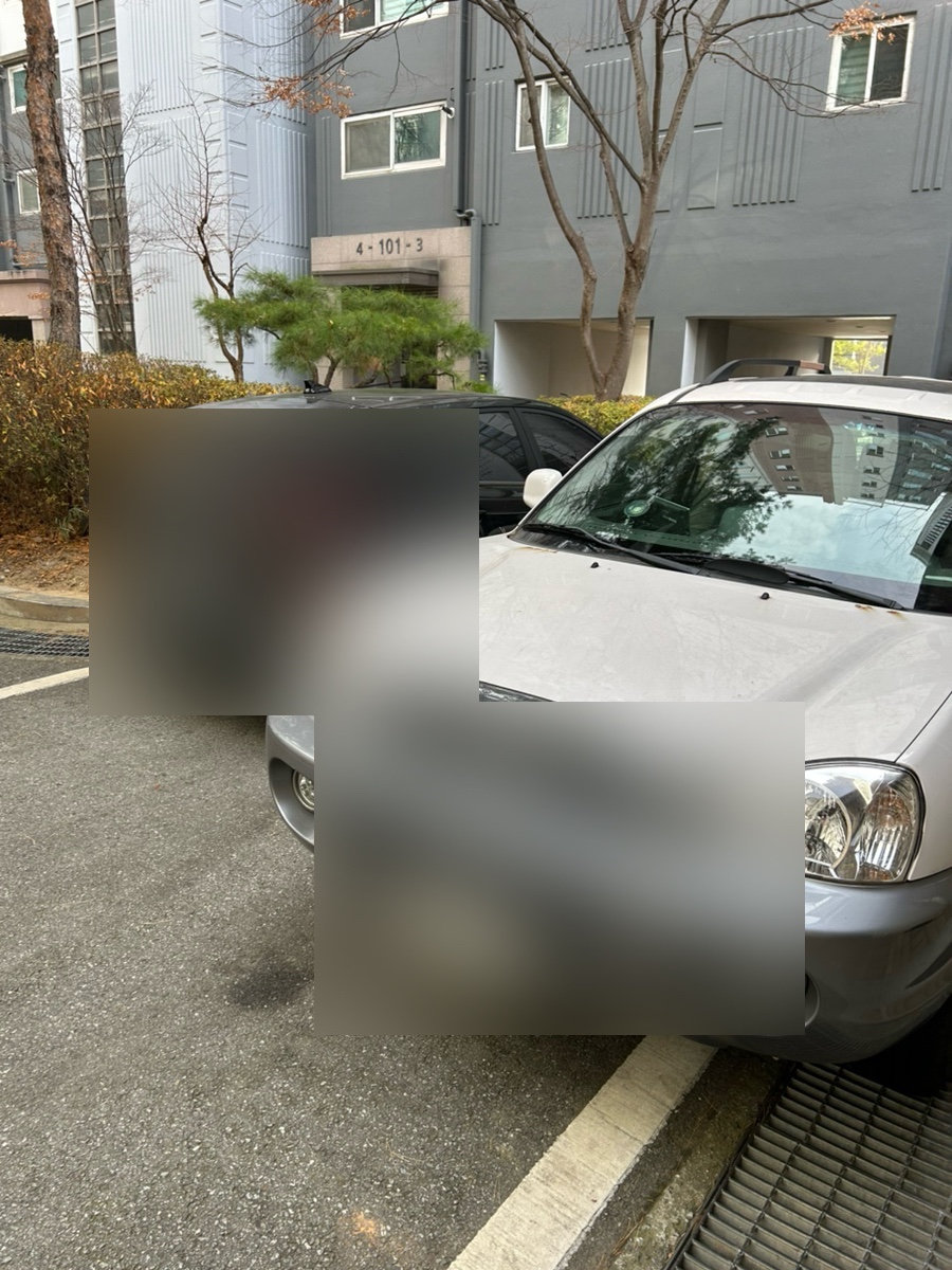 크리뮤 사진 2