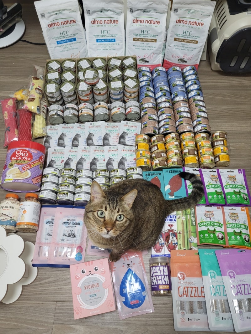 [집사 일상]궁디팡팡 캣페스타 35th 서울 SETEC토요일 오후, 일요일 오전 방문 궁팡 후기 /부스....