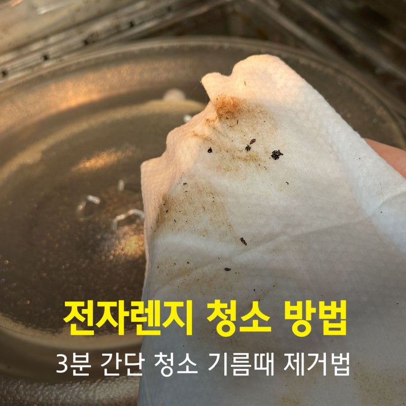 전자렌지 청소 다이소 전자렌지스팀청소 사용 솔직후기
