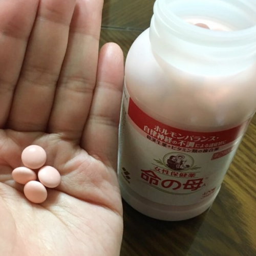 일본갱년기약 후기 이노치노하하 갱년기 영양제 추천