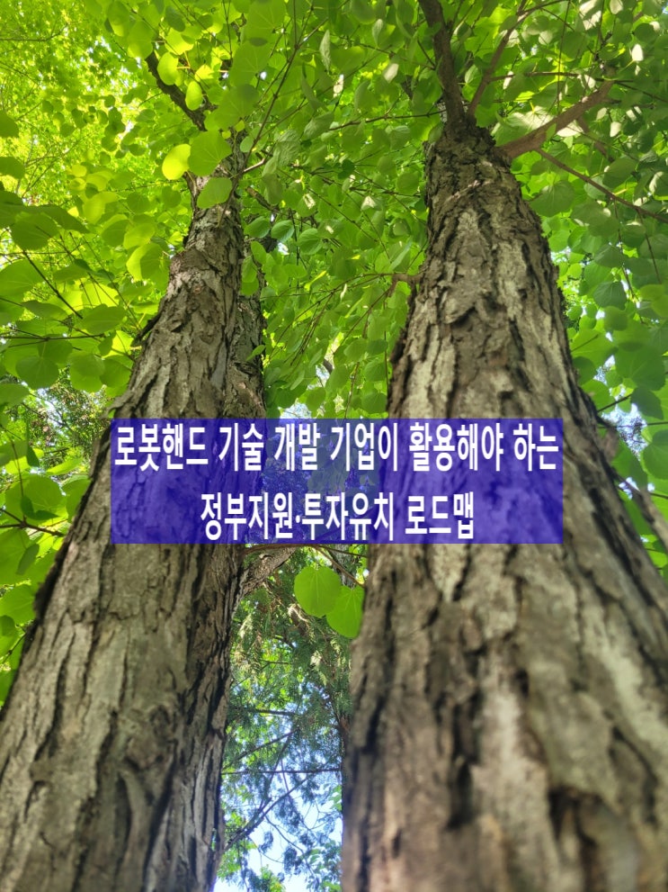  로봇핸드 기술 개발 기업이 활용해야 하는 정부지원·투자유치 로드맵, 중소기업전략기술로드맵