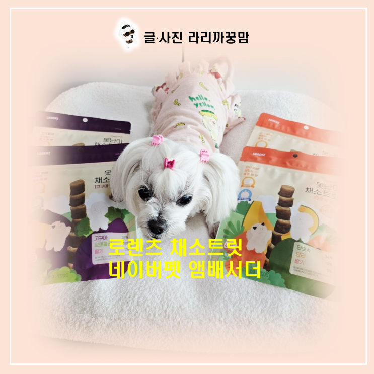  네이버 펫 바우처로 구매한 로렌츠 못난이 채소트릿